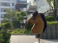 Hobby horse krno Lexus