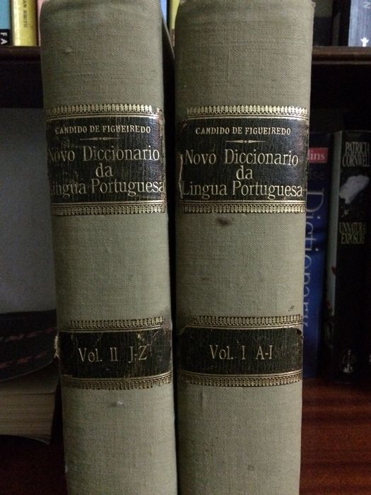 Novo Dicionário da Língua Portuguesa de Cândido de Figueiredo, 1913
