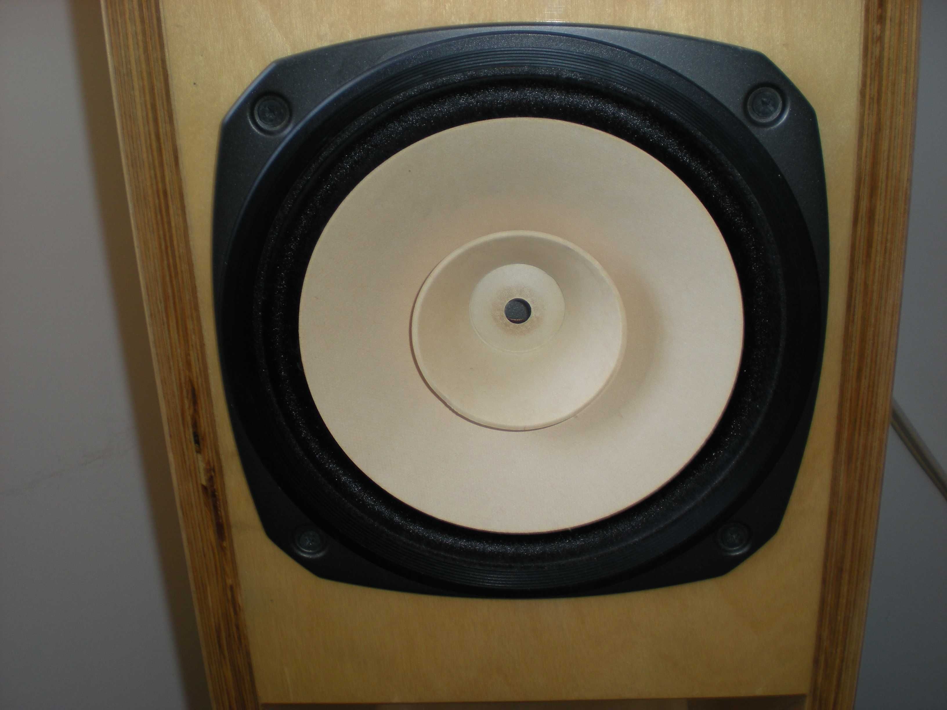 Fostex FE 206 EN 2 Głośniki szerokopasmowe. Średnica 20 cm 8 Ohm 96 dB