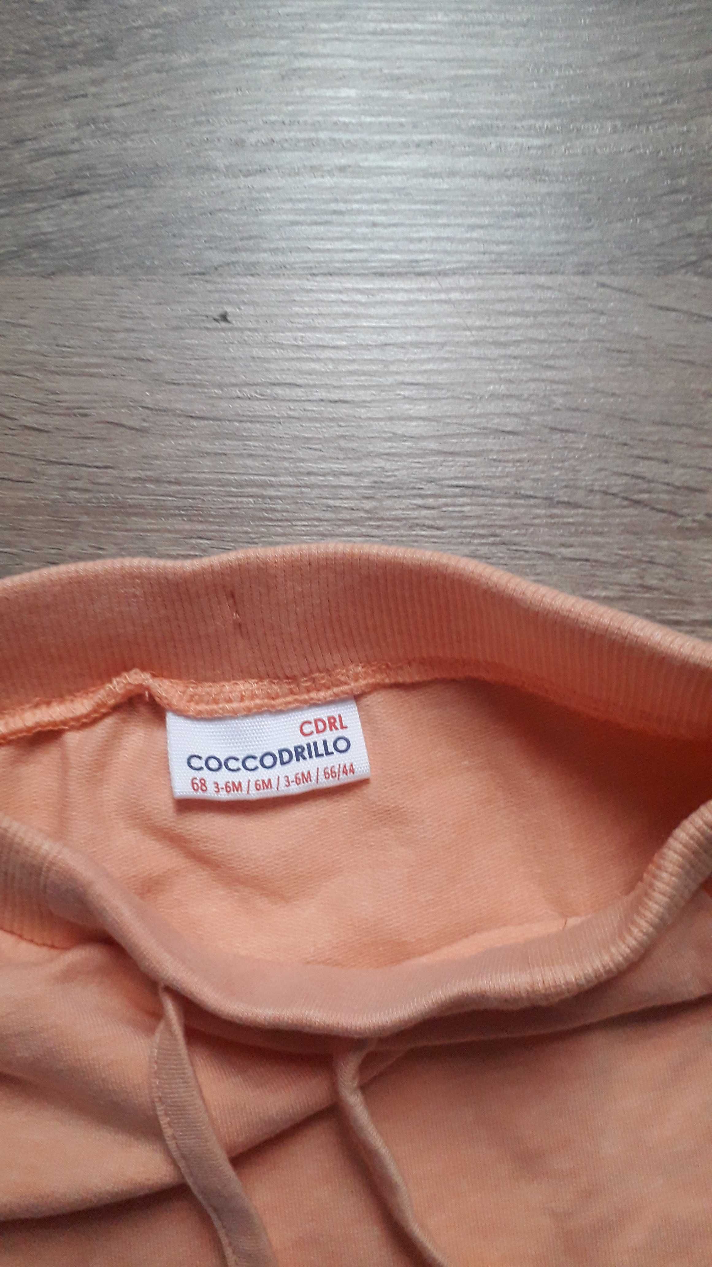 Spodnie dresowe dla dziewczynki Coccodrillo
