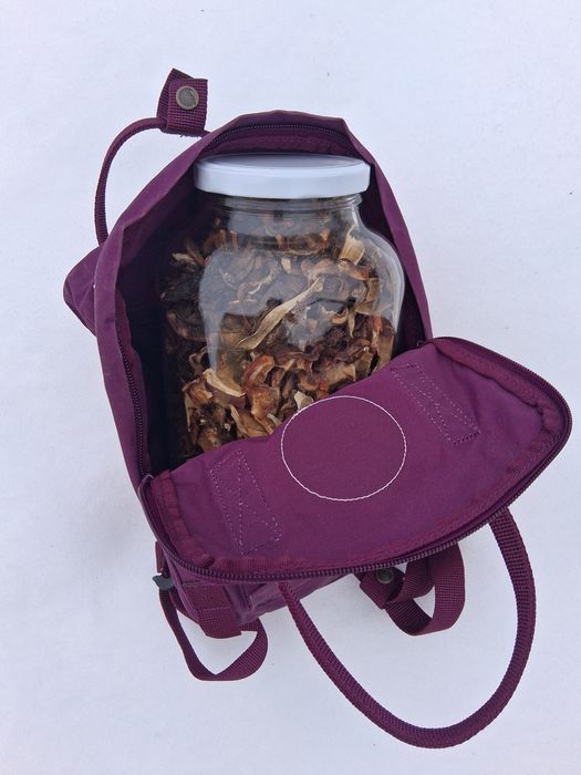 Plecak kanken Mini NOWY idealny Prezent !