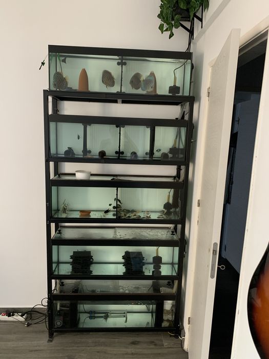 Estou a vender a minha ultima estrutura  de aquarios para despachar.