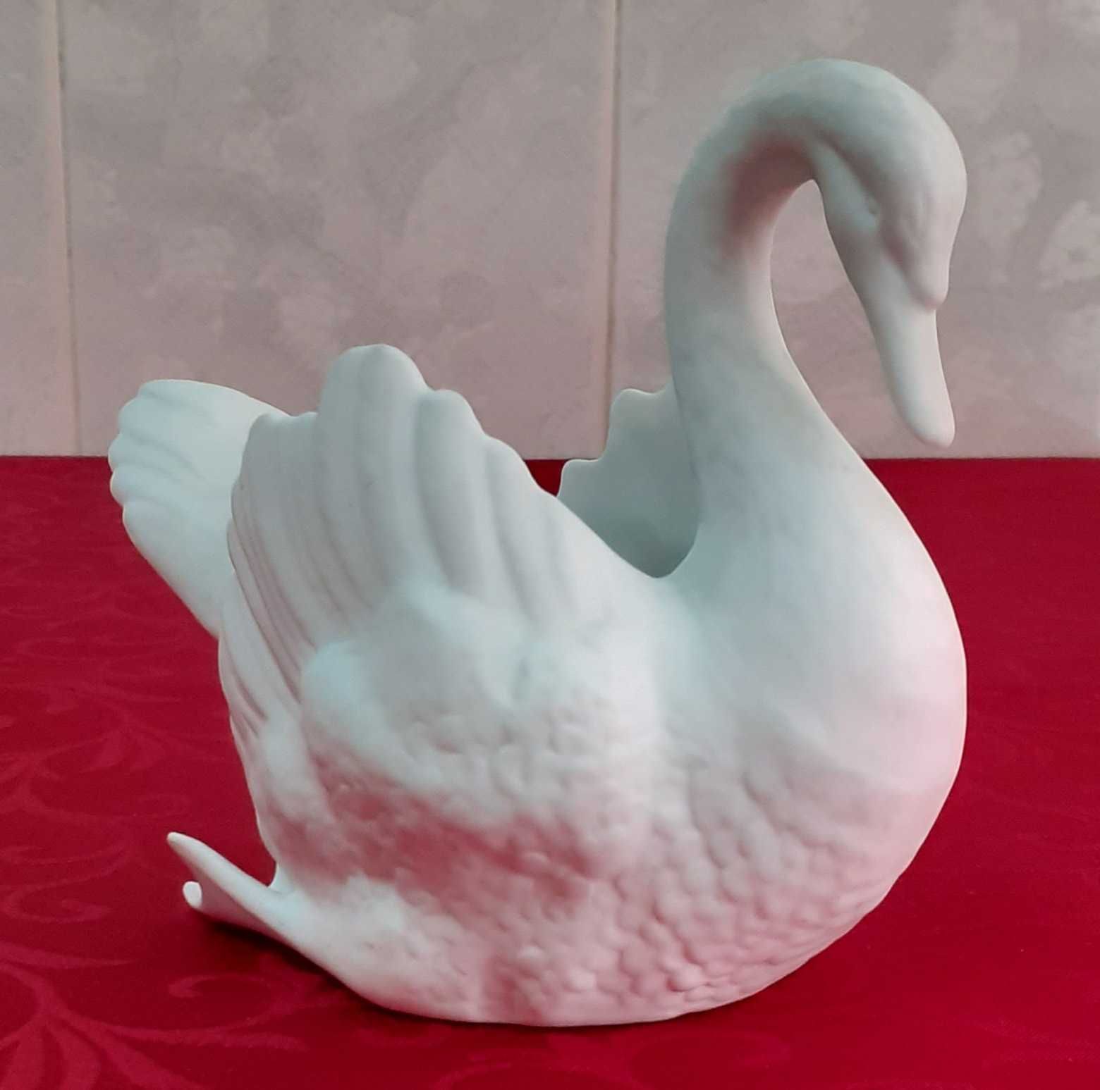 Cisne da Vista Alegre