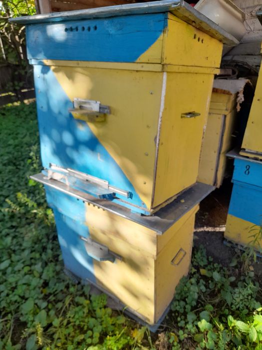 продам вулик для бджіл