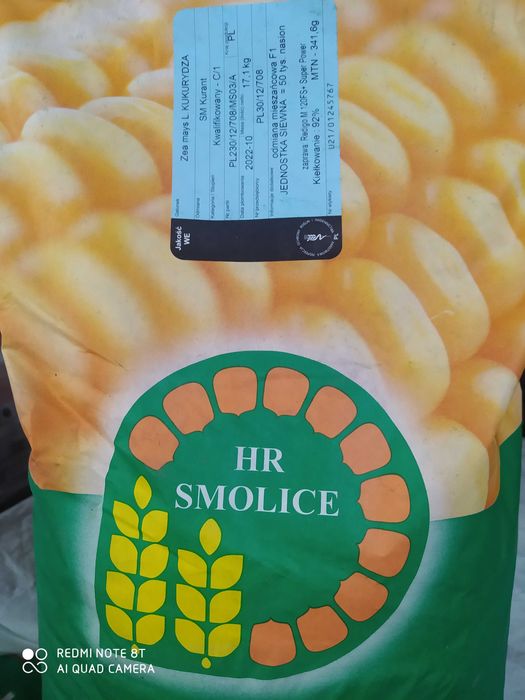 Kukurydza nasiona ROSOMAK Danubio