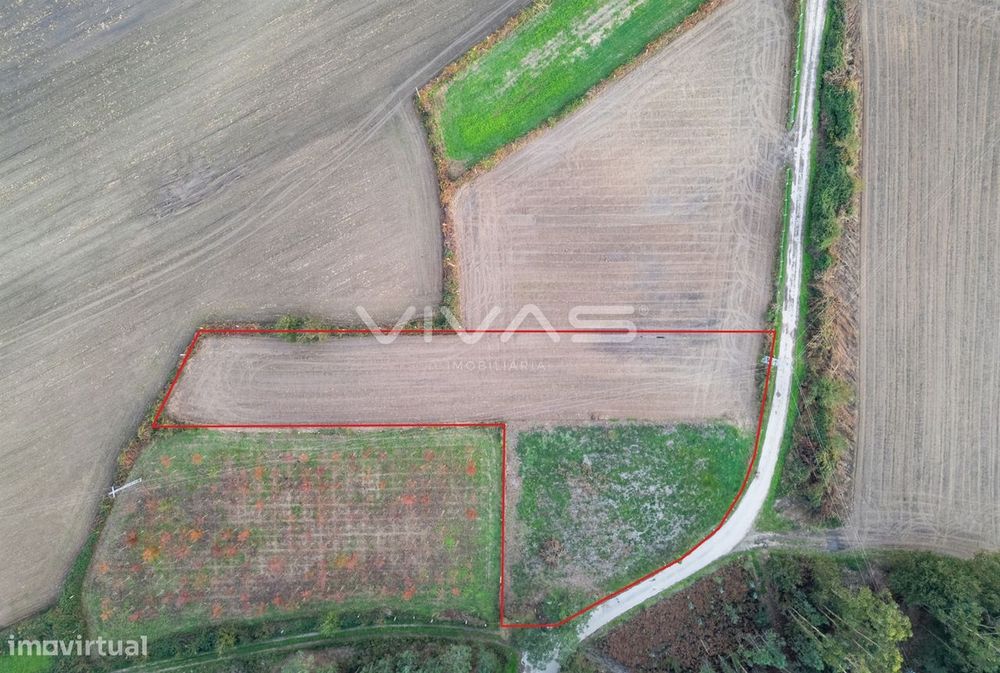 Terreno Rústico  Venda em Associação de freguesias do Vale do Neiva,Po