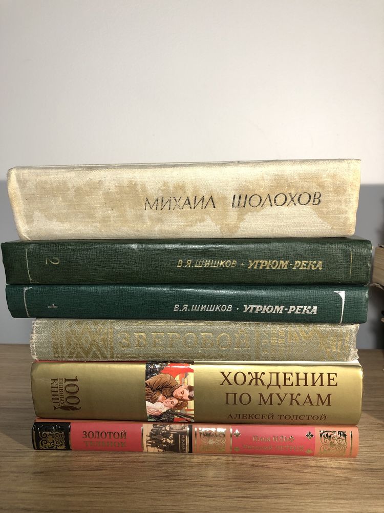 Книги клиссика Русский язык