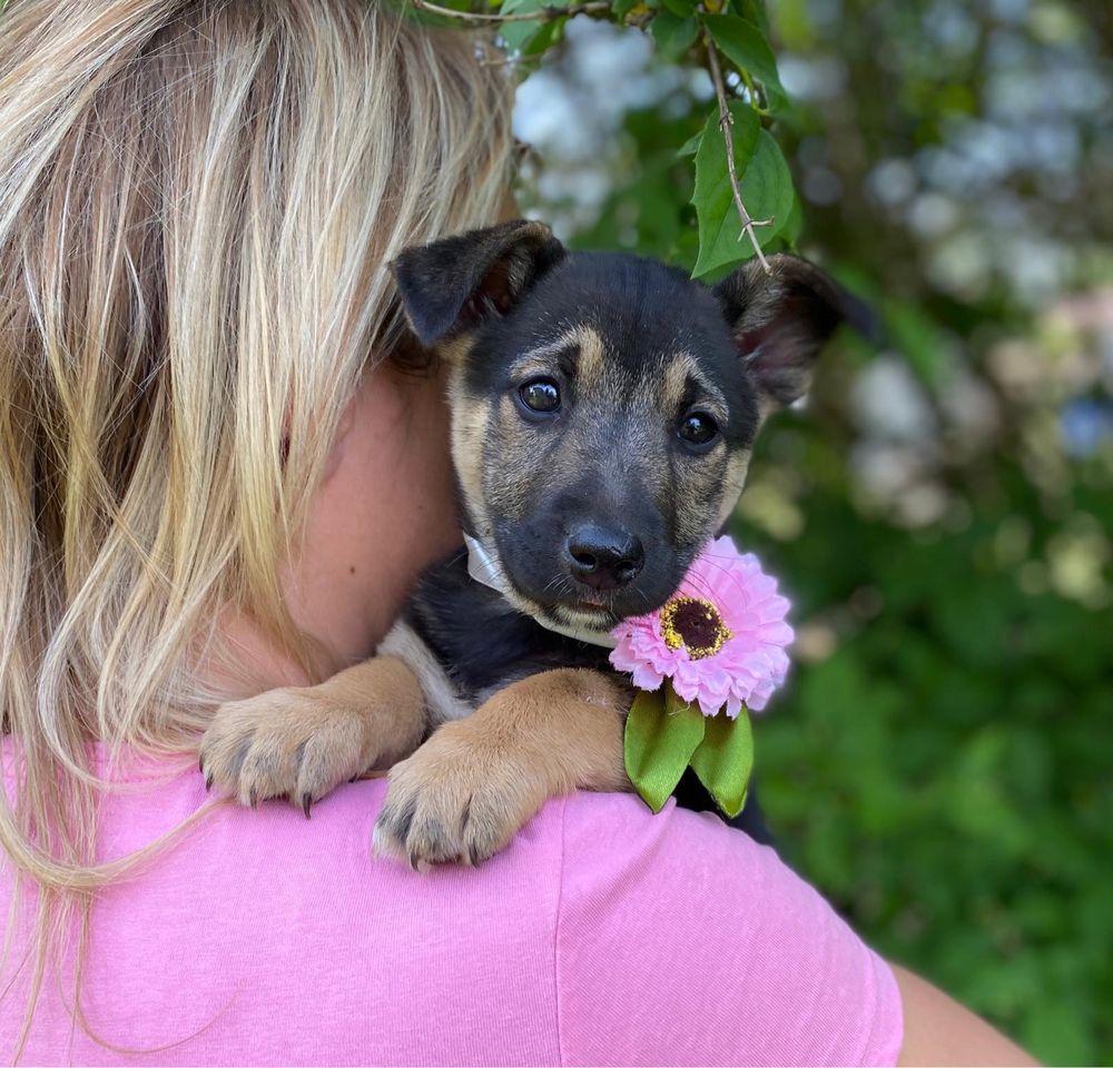 Kajusia maleństwo urodzone na łańcuchu do adopcji