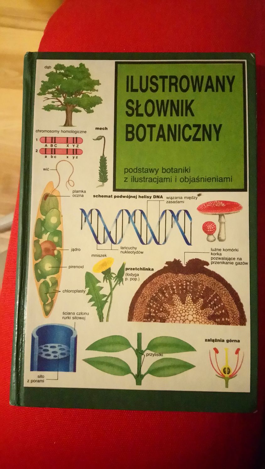 Ilustrowany słownik botaniczny