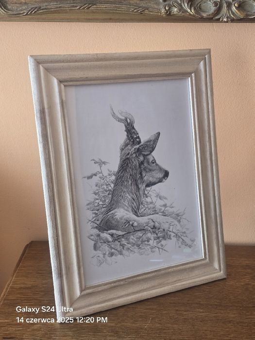 Grafika myśliwska KOZIOŁ Rogacz Sarna Europejska Myłkus. Polowanie.