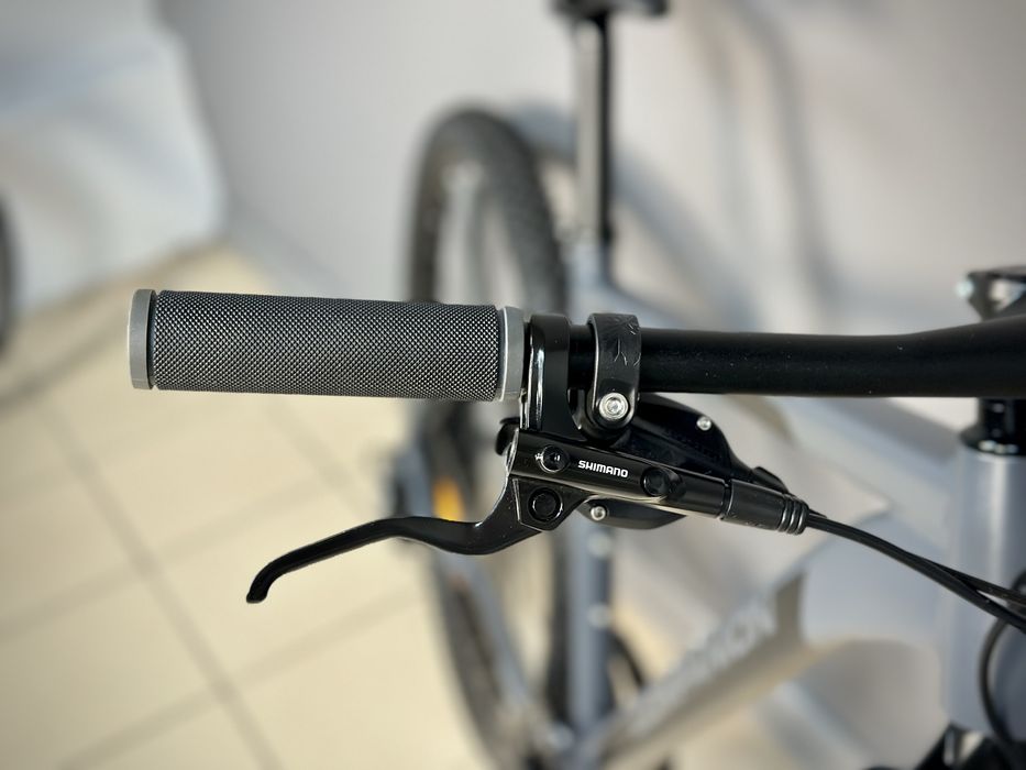 Велосипед Companion MX3.0 29 L