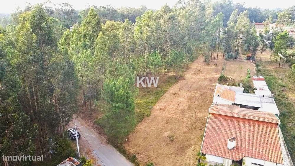 Terreno Plano para Construção em Souto, Santa Maria da Feira - 1977m2