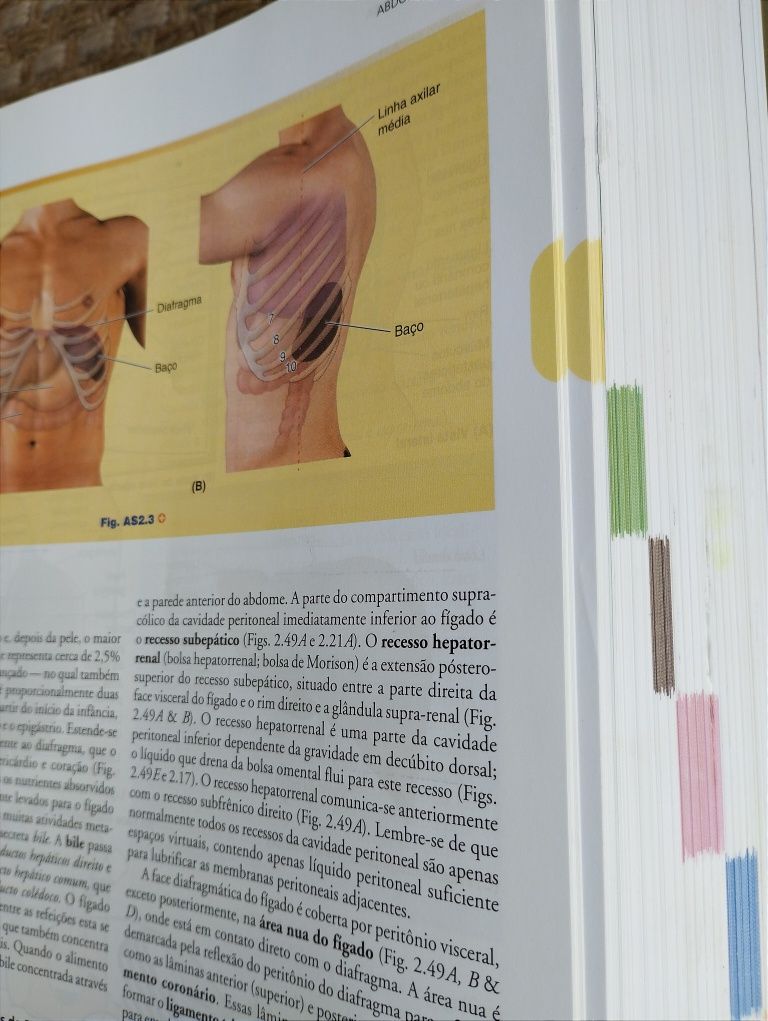 Livro de anatomia Moore