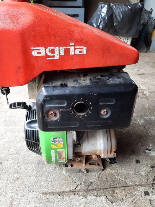 Silnik spalinowy Agria 5400