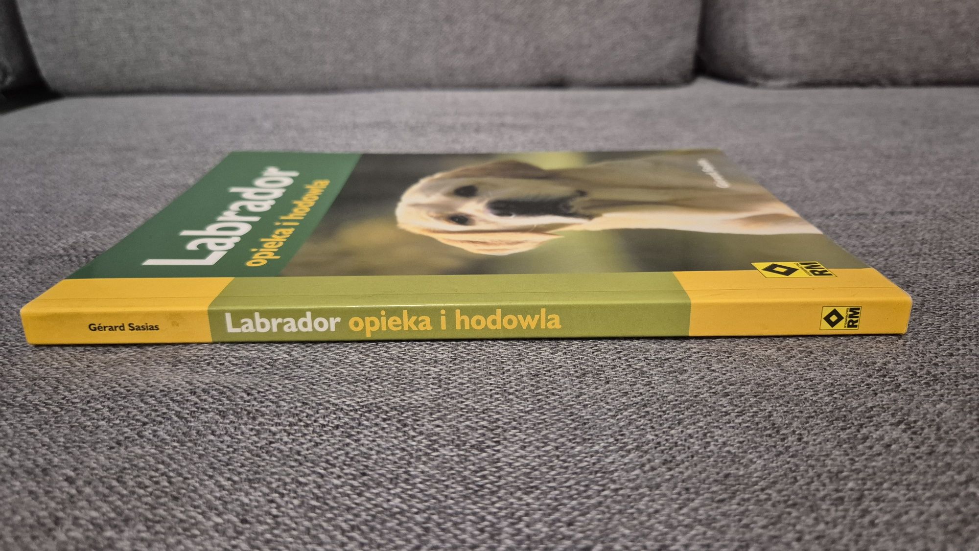 Labrador Opieka i Hodowla Gerard  Sasias