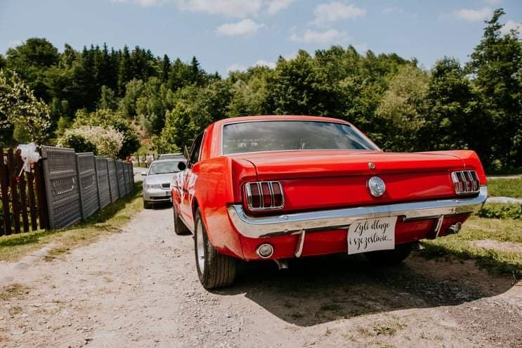 Mustang do ślubu