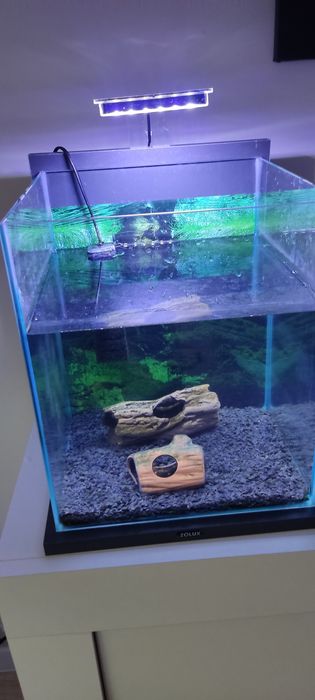 Akwarium 30 l lampka filtr
