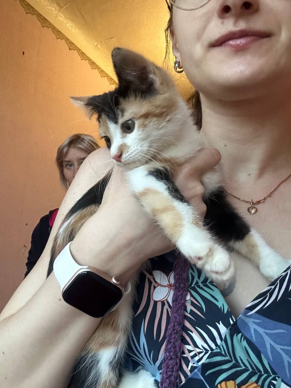 Котенок девочка 2месяца