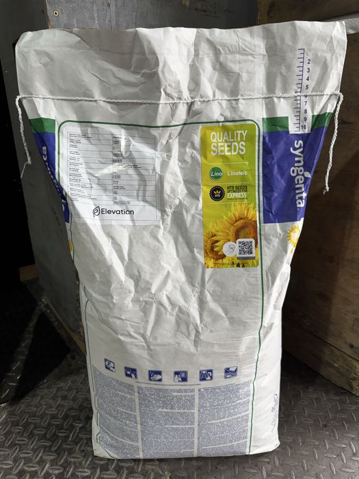 Насіння соняшнику Піонер P64LE185/Сінгента Суміко