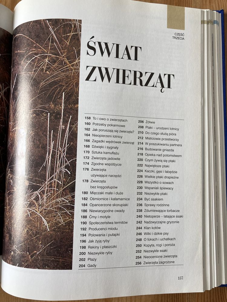 ABC przyrody w pytaniach i odpowiedziach