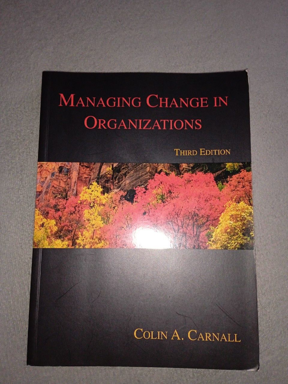 Książka Managing change im organizations