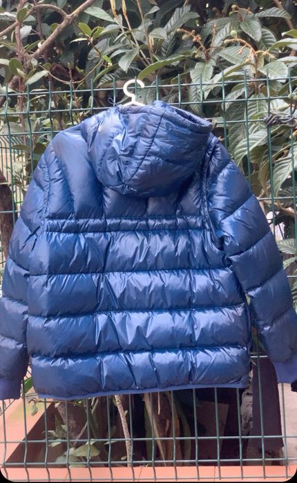 Casaco/Colete Lacoste