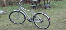 Rower Alu-Bike Fischer 28"