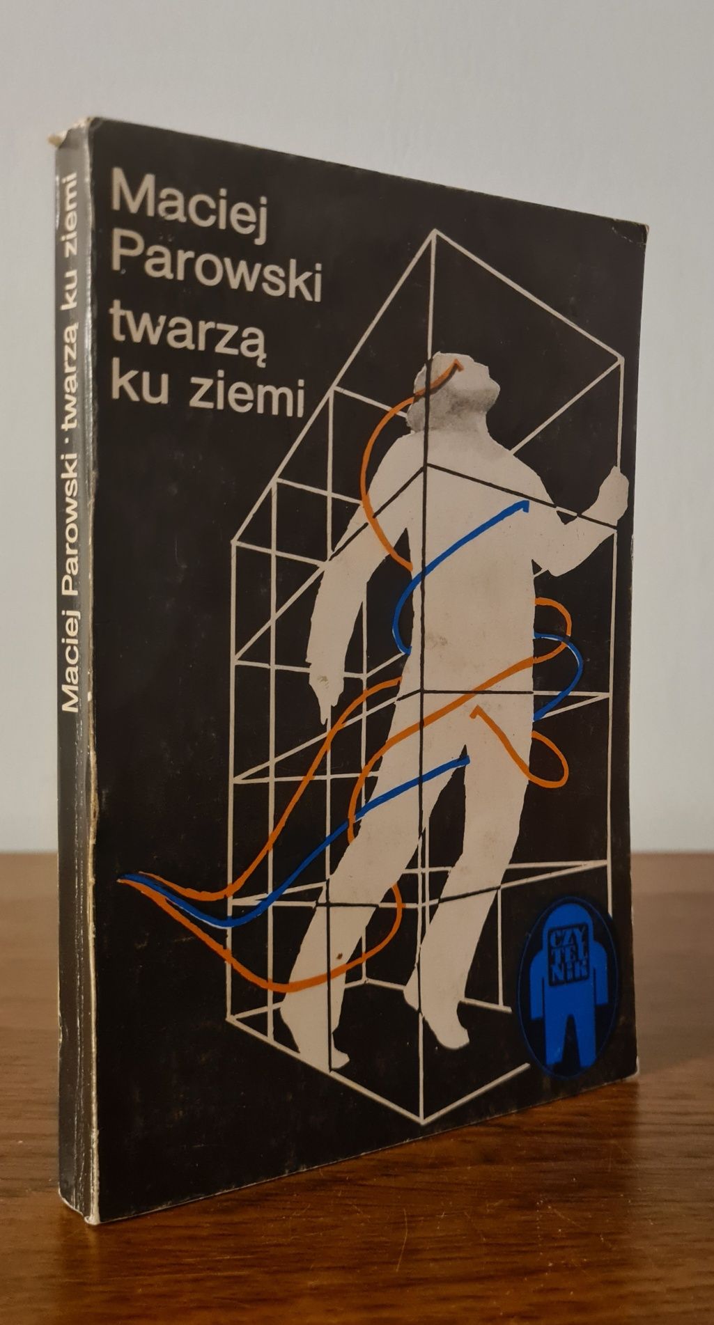 Twarzą ku ziemi - Maciej Parowski