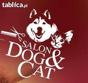 Groomer, DOG&CAT Salon dla psów, psi fryzjer, 17 lat na rynku
