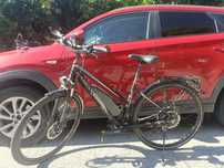 Bulls lavida plus