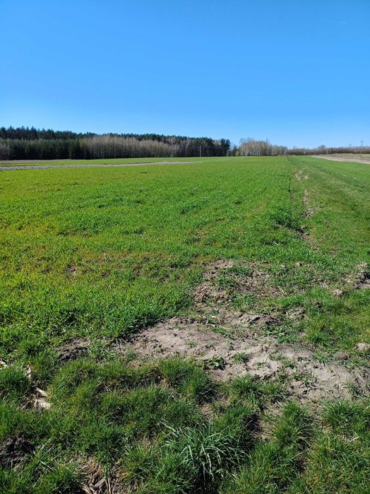 Działka rolno budowlana