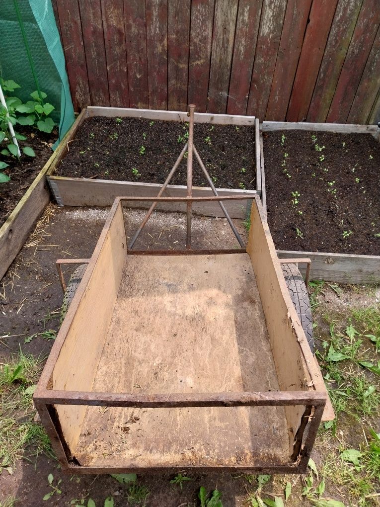 Wuzek transportowy