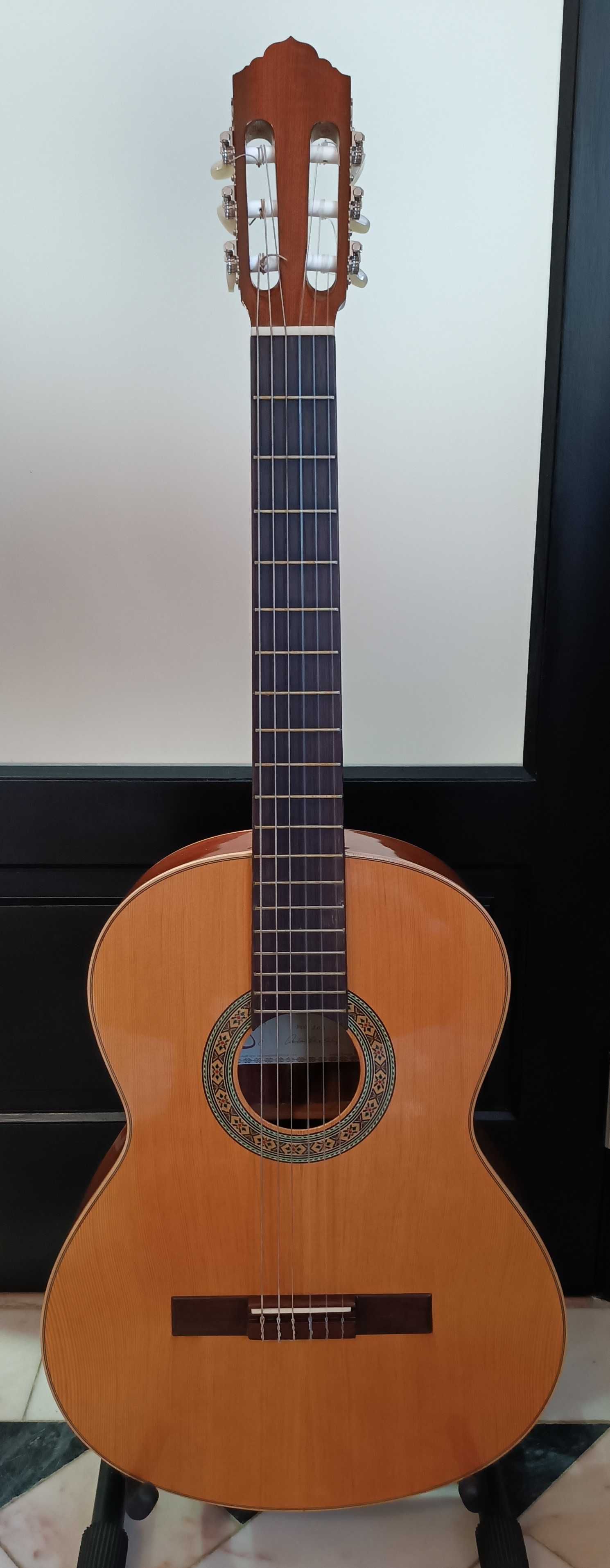 Guitarra Portuguesa APC 203 (solid top) + Bag  - Great Deal