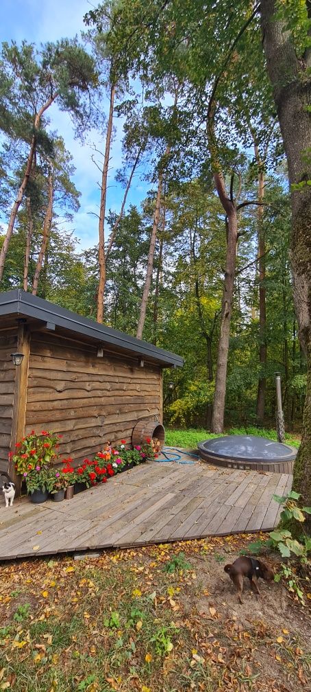 Domek " Na końcu świata ", w lesie z jacuzzi na zewnątrz