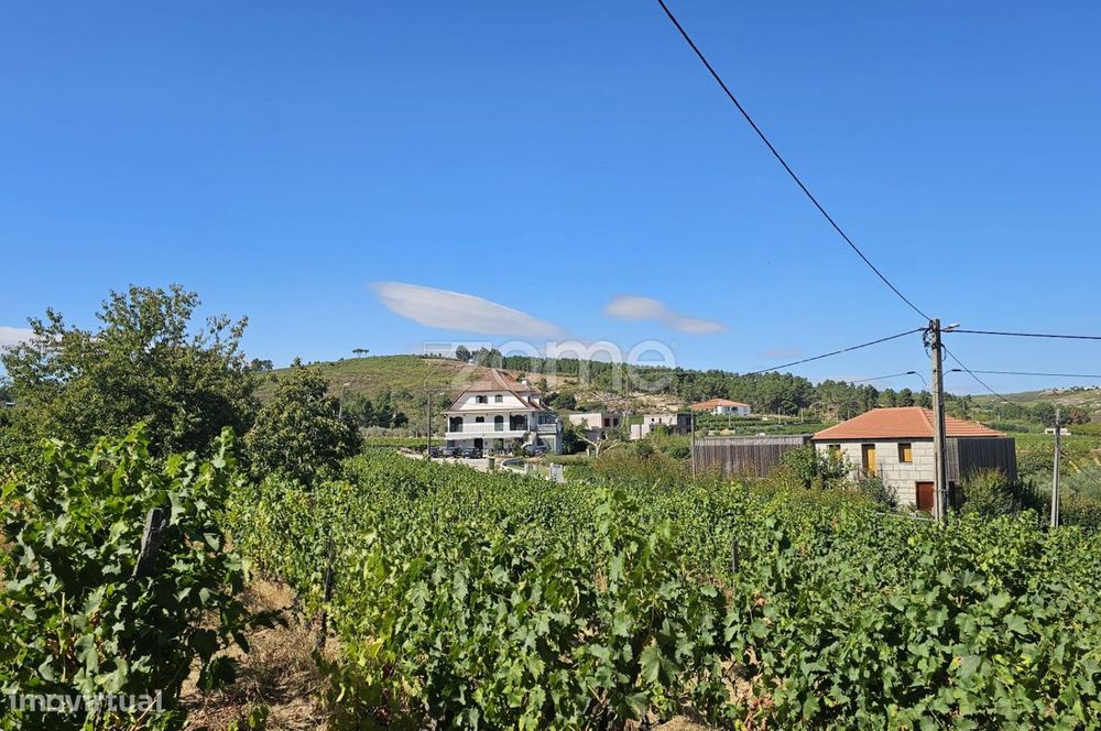 Terreno Rústico Urbanizavel – Presandães, Alijó