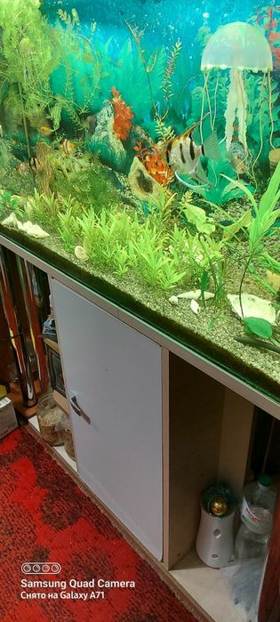 Аквариум с рыбками, с тумбой.