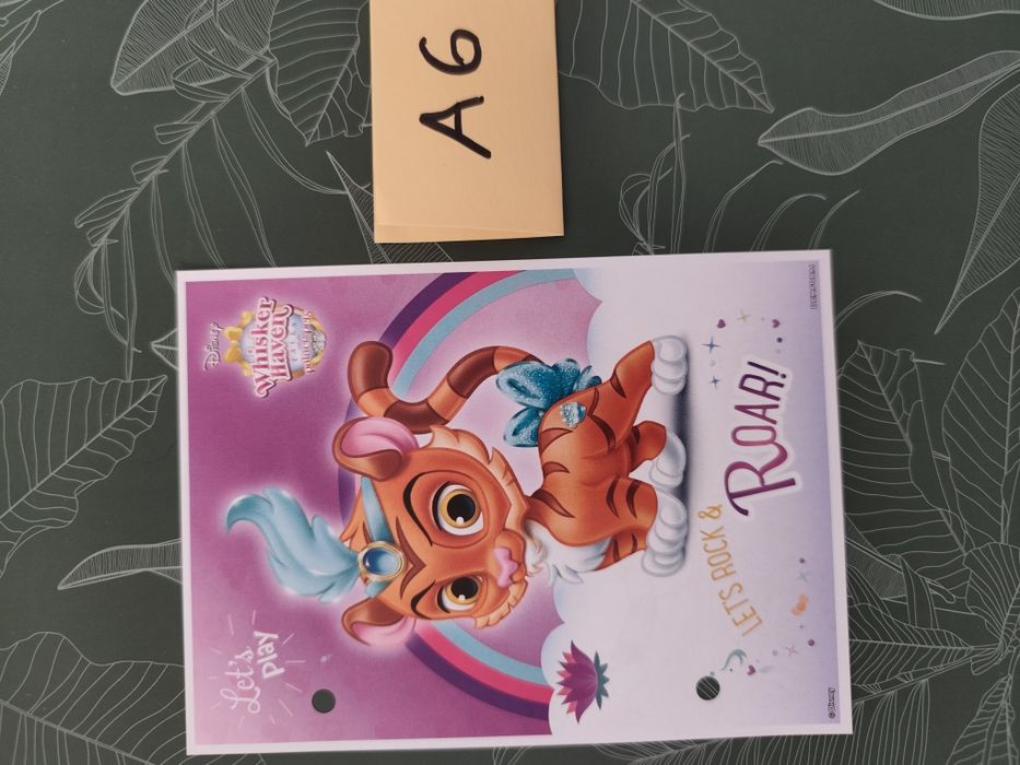 Karteczka do segregatora A6