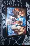 Quadro harry potter