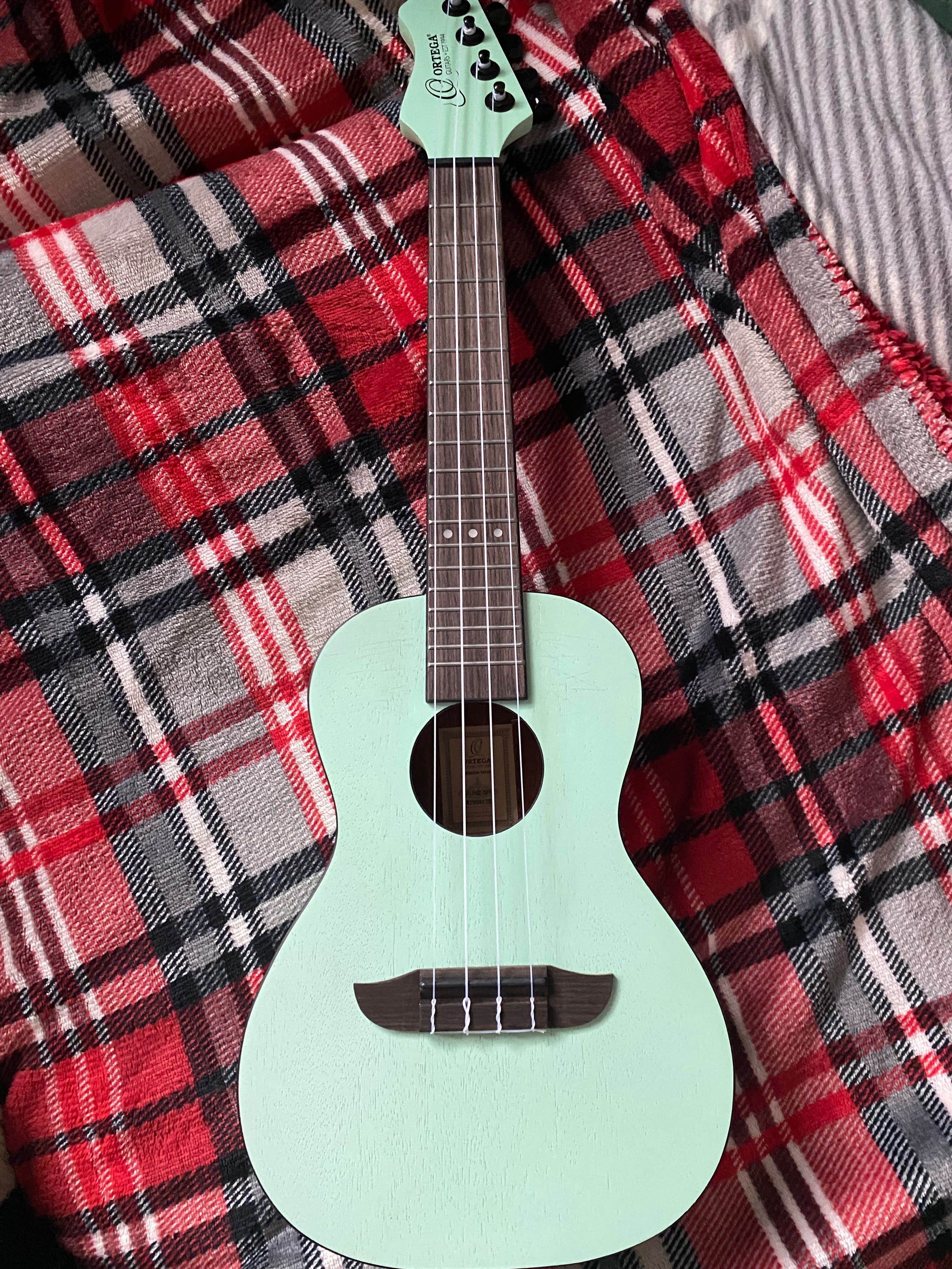 Ukulele miętowe ortega