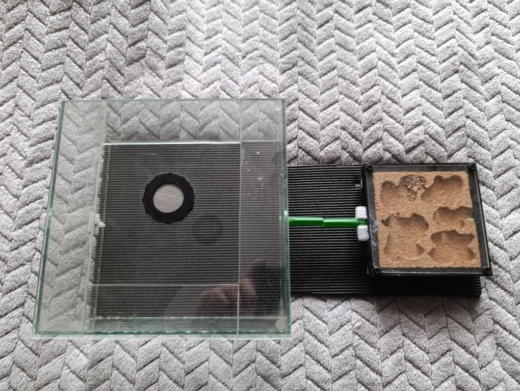 Terrarium dla mrówek