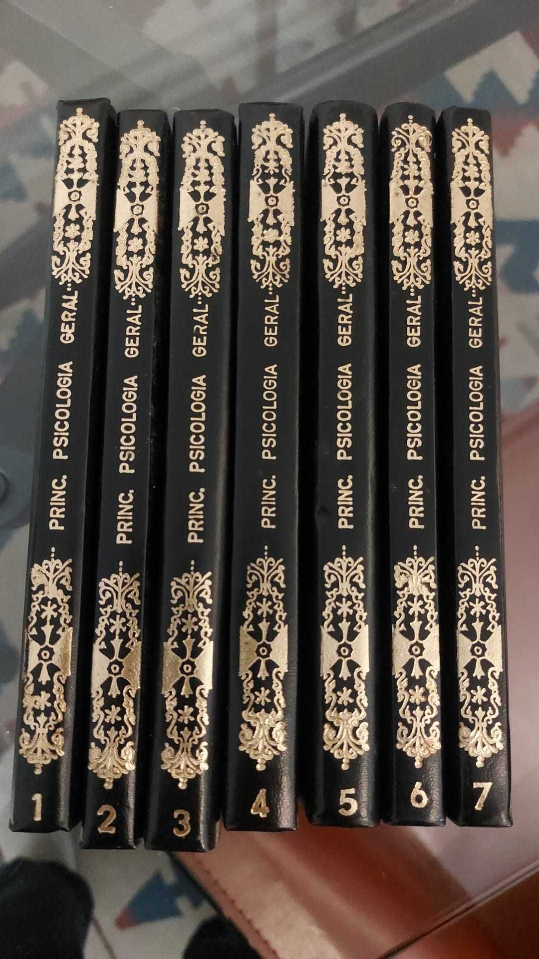 Coleção Princípios da Psicologia Geral - S.L.Rubinstein (7 Volumes)