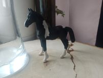 Model konia COLLECTA źrebię rasy barock pinto