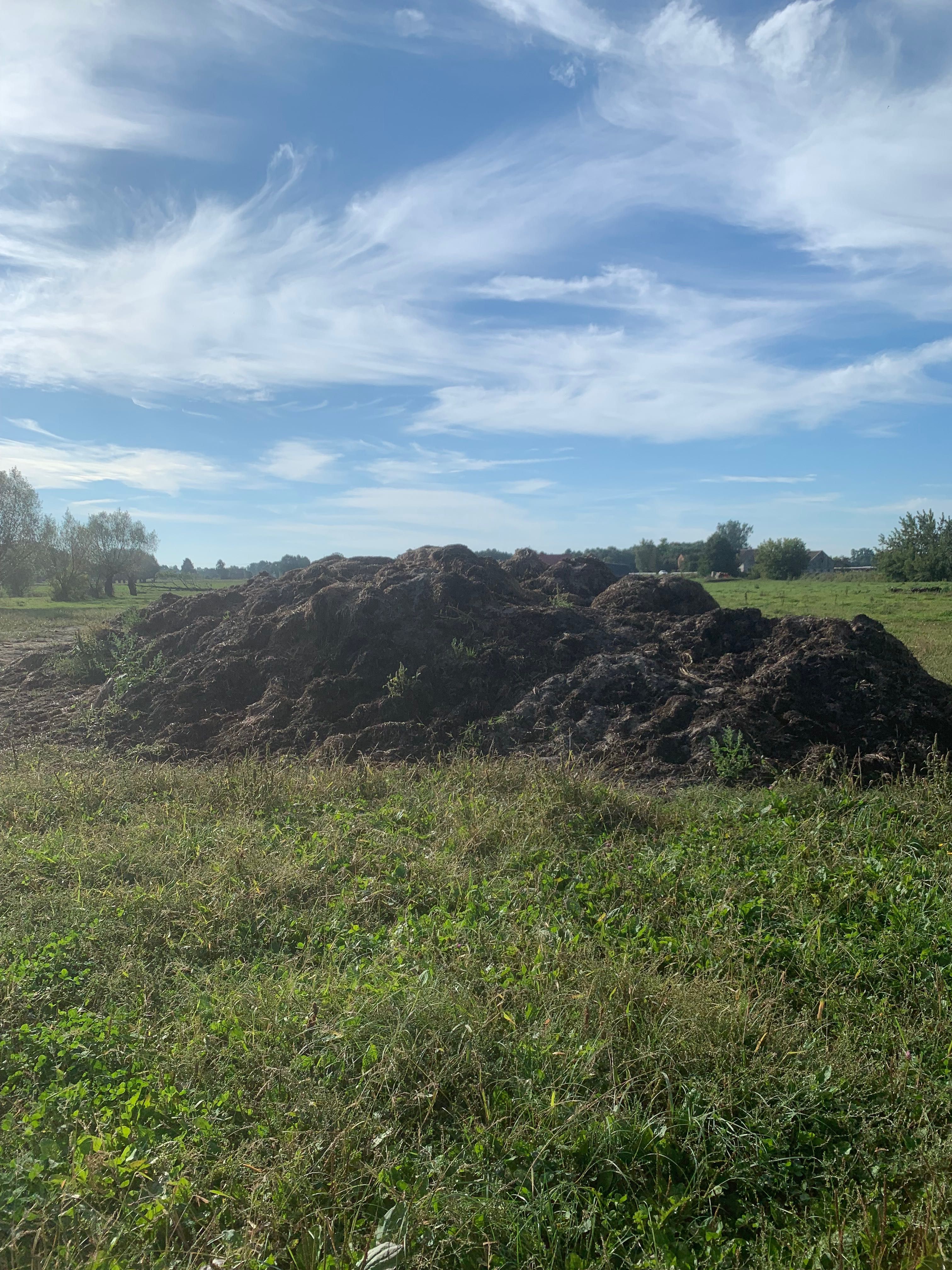 Obornik bydlęcy! 500 ton