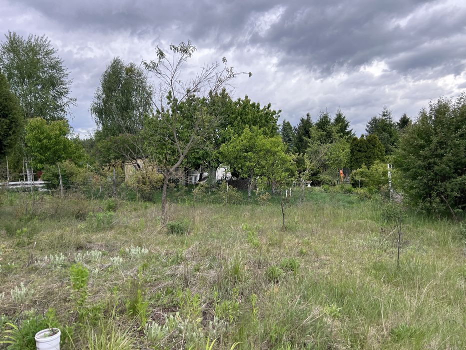 Działka całoroczna ROD sawanna Ochla Zielona Góra