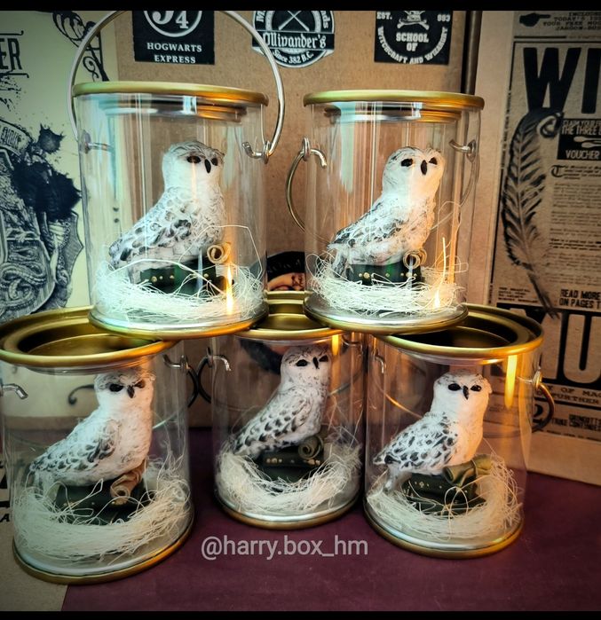 Корень Мандрагоры сова в баночке. Harry Potter. Mandrake подарунок на