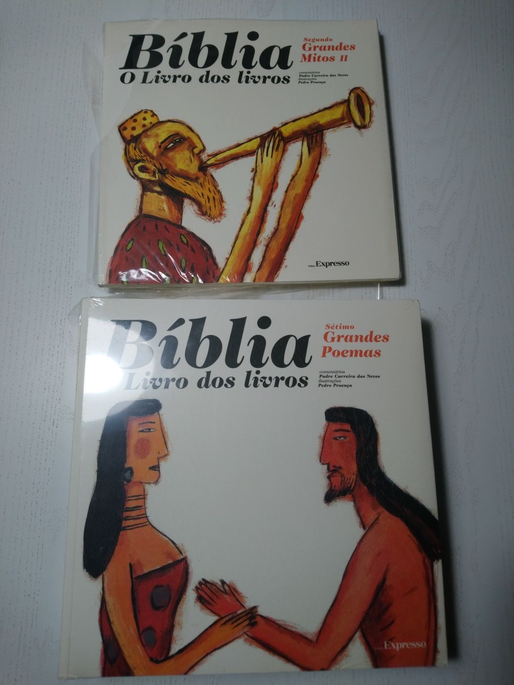 Bíblia o livro dos livros - colecção Expresso