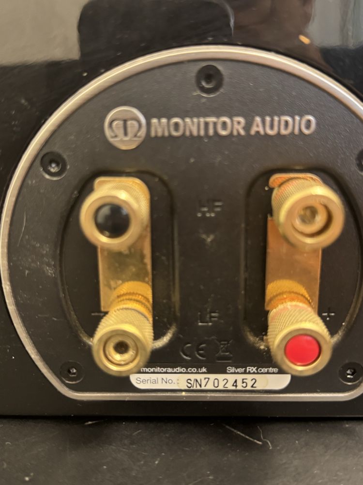 Coluna Monitor Audio Rx silver