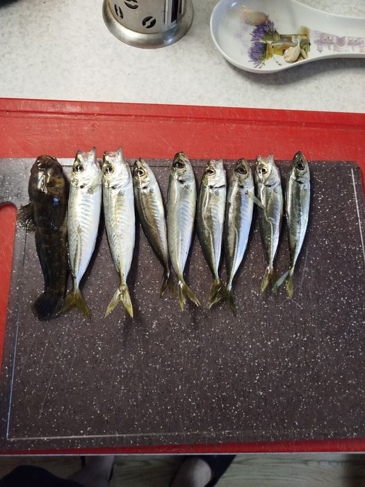 Хрестовина для павука