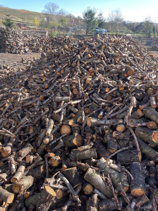 Drewno opałowe owocowe