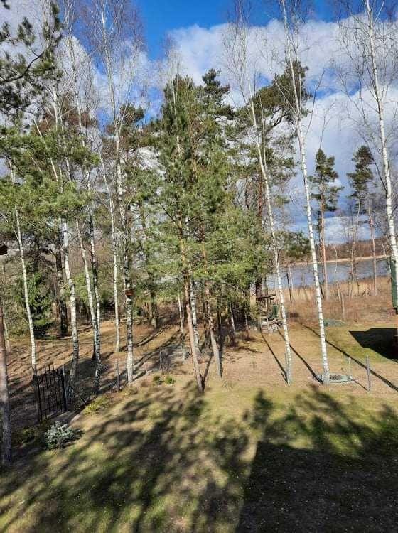 Domek na Mazurach 50 m od plazy -Sucholaski